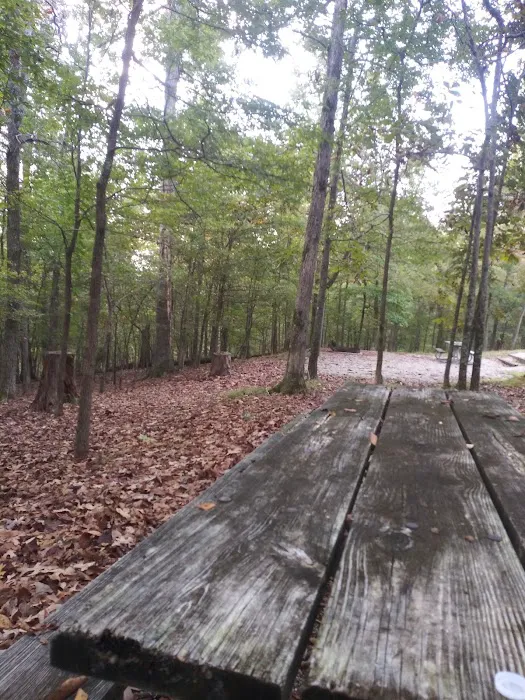 Ridge Campground Picture 10