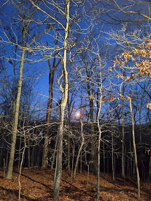 Ridge Campground Picture 3