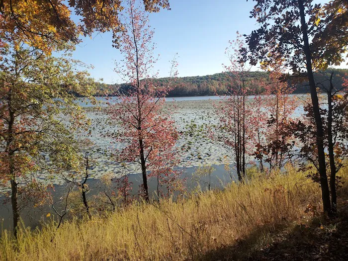 Asher Creek Campground Picture 2