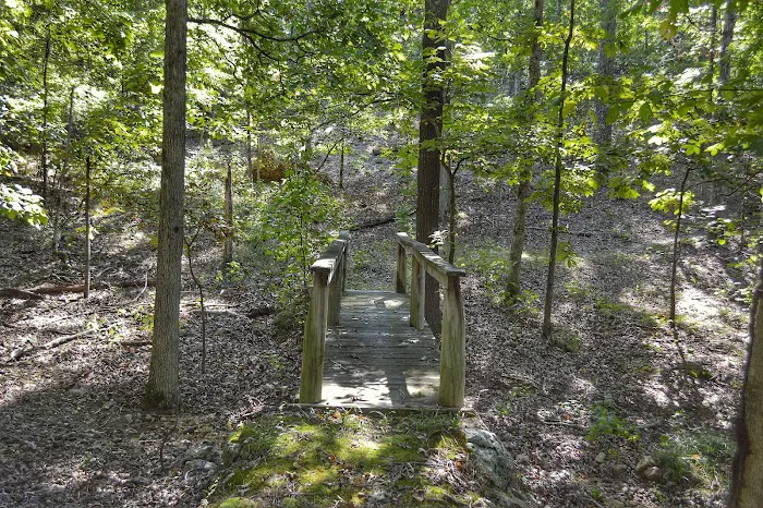 Asher Creek Campground Picture 8