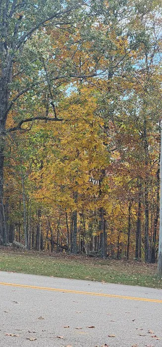 Asher Creek Campground Picture 9