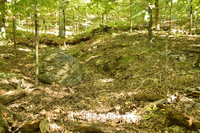 Asher Creek Campground Picture 4