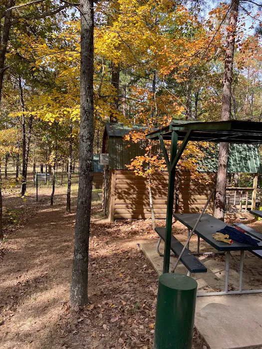 Coffey Creek Cabin Picture 5