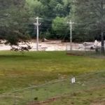 Redman Creek Pavillion