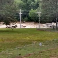 Redman Creek Pavillion ico