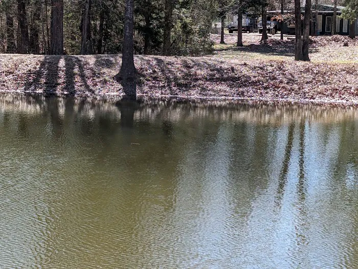 Shady Oaks Resort - RV Full Hookups, Cabins & Guest Lodge Picture 9