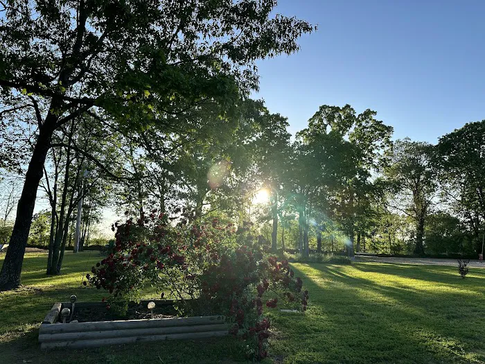 Shady Oaks Resort - RV Full Hookups, Cabins & Guest Lodge Picture 7