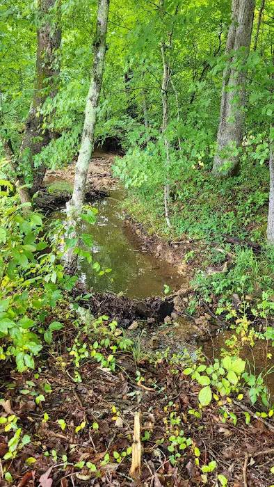 Huff Camp, LLC Picture 6