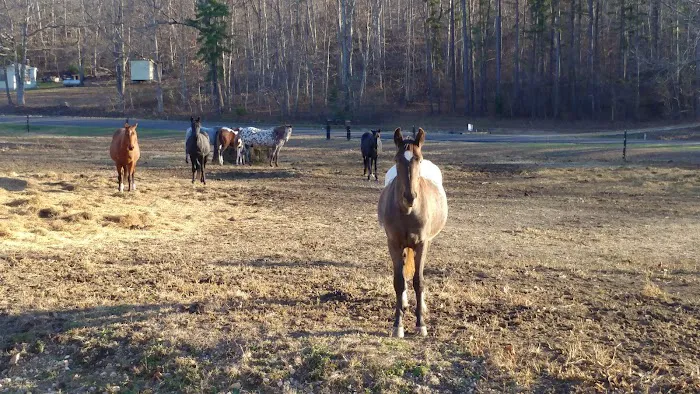 Black River Traditions, LLC Picture 6
