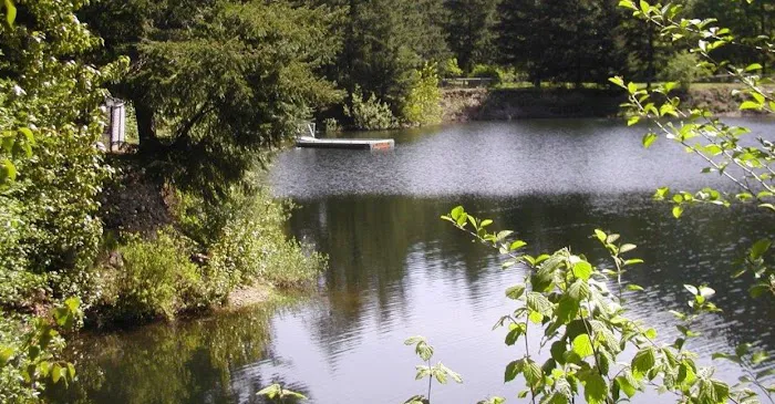 Rykers Retreat Rv Park Picture 1