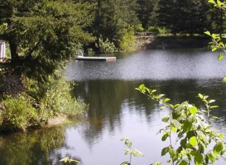 Rykers Retreat Rv Park