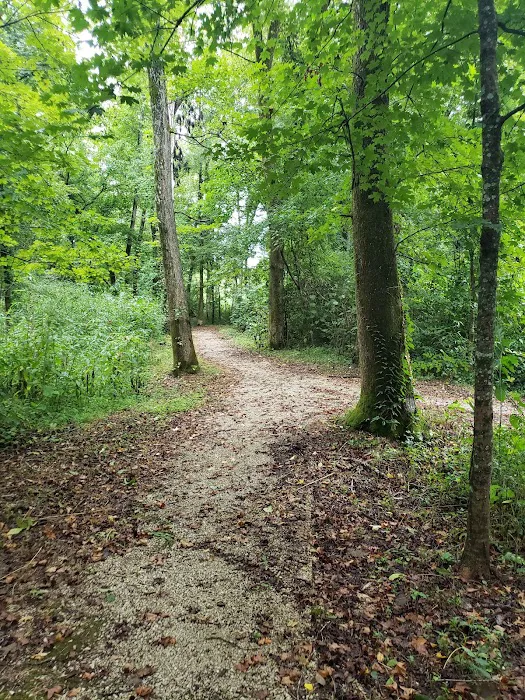 Markham Spring Recreation Area Picture 8