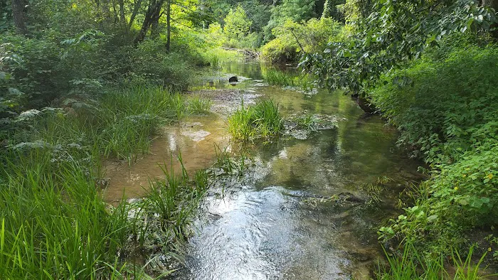 Markham Spring Recreation Area Picture 2