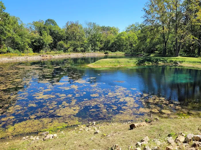 Markham Spring Recreation Area Picture 3