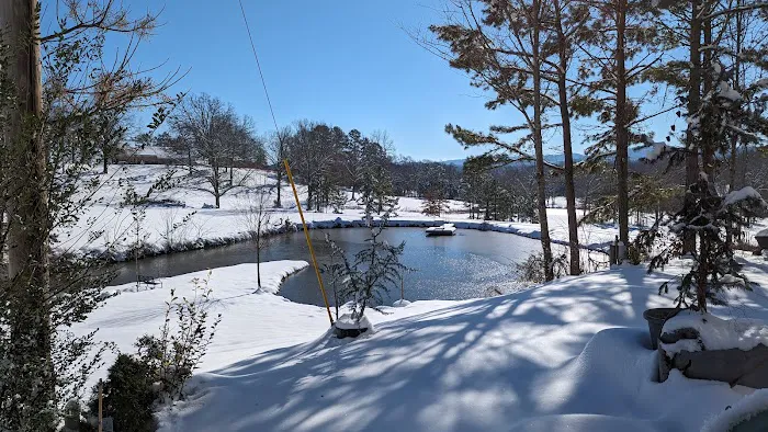 Ouachita Campground at Edendell Picture 5