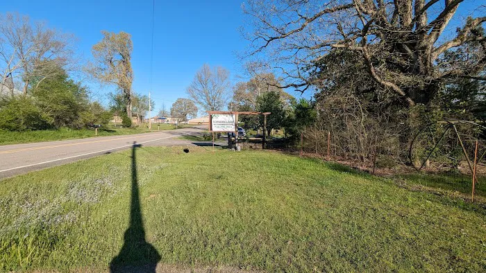 Ouachita Campground at Edendell Picture 7
