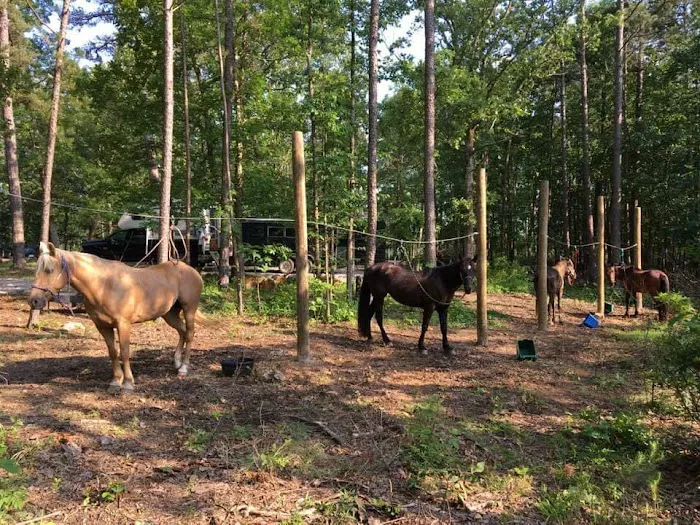 Wrangler Horse Camp Picture 7