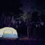Wrangler Horse Camp