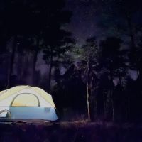 Wrangler Horse Camp ico