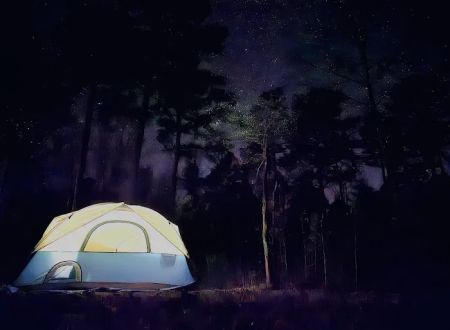 Wrangler Horse Camp