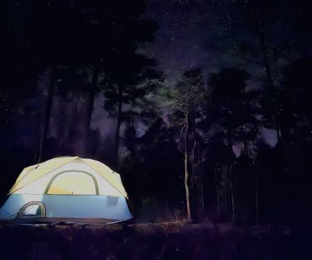 Wrangler Horse Camp