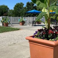 Big Creek RV Park/ Arcadia Meadow Campground LLC ico