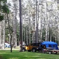 Beaver Springs Campground ico