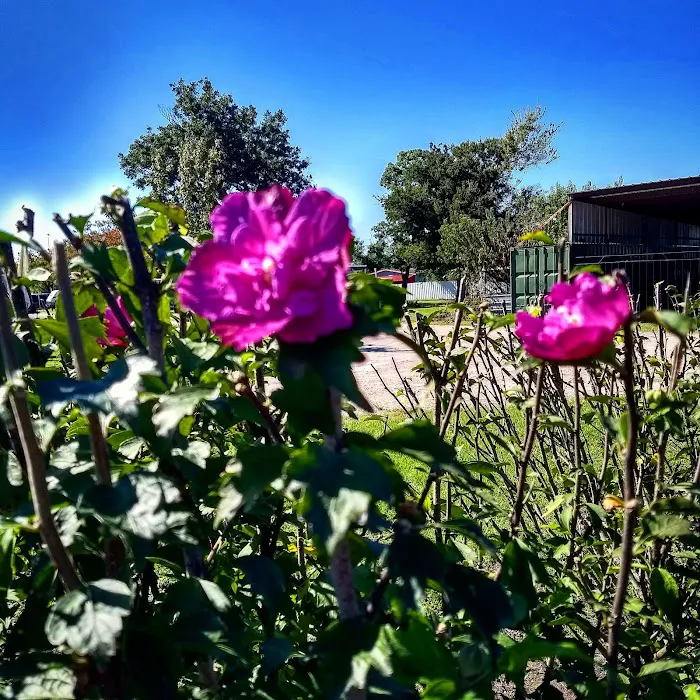 Parc D'orleans Inc RV PARK & CAMPGROUND Picture 4