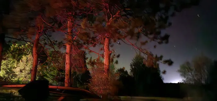 Coyote RV Park & Campground Picture 10