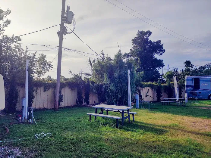 Three Oaks & a Pine RV Park Picture 8