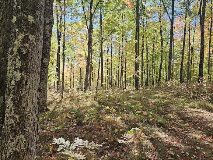 Chalk Hills Campground Picture 5