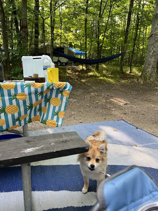 South Nicolet Bay Campground Picture 8