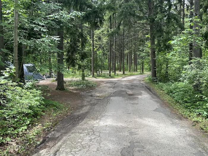Tennison Bay Campground Picture 9