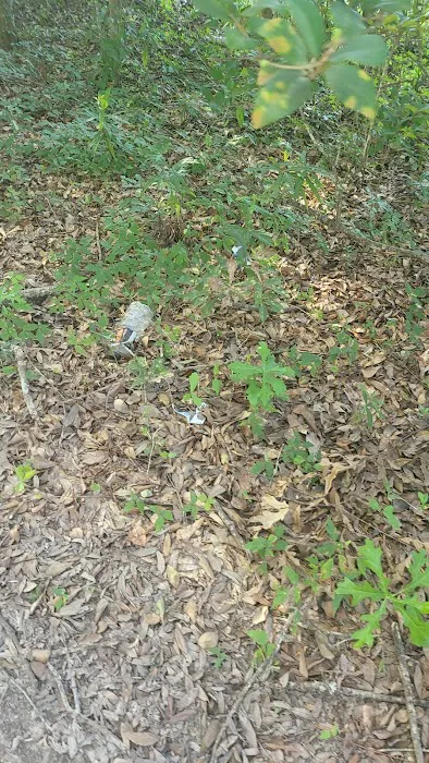 O'niel Mobile Home Park Picture 2