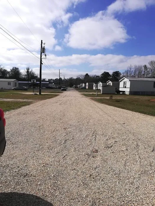 Cypress Creek Mobile Home Court Picture 5