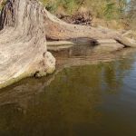 River JCT