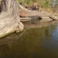 River JCT ico