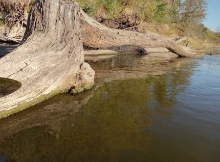 River JCT