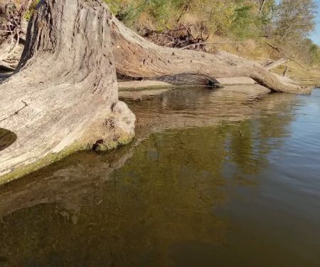 River JCT