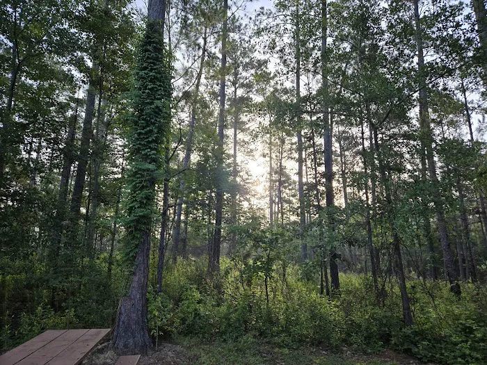 Upland RV Area Picture 9