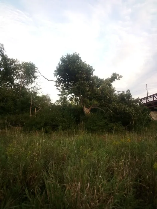 Morgan Creek Campground Picture 7