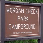 Morgan Creek Campground