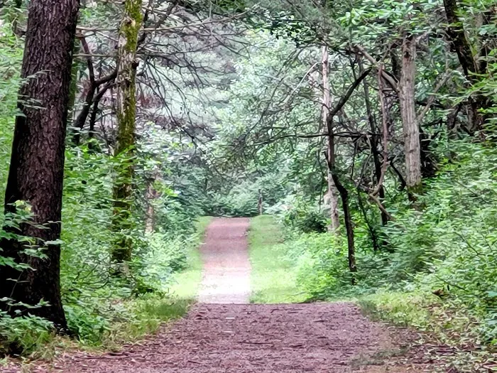 Jefferson County Park Campground Picture 1