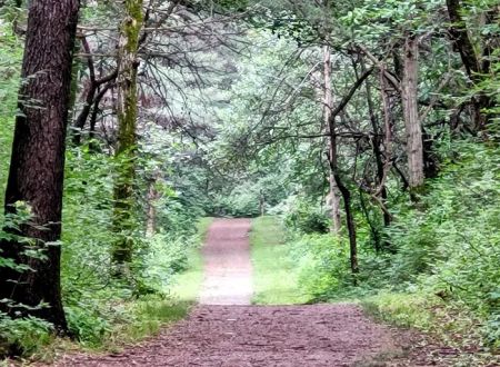 Jefferson County Park Campground