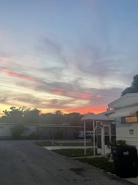 Sawgrass Lake Estates Picture 2