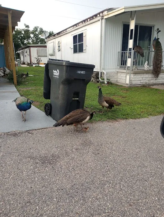 Sawgrass Lake Estates Picture 1