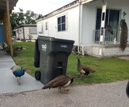 Sawgrass Lake Estates