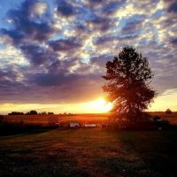 Catfish Place Campgrounds ico