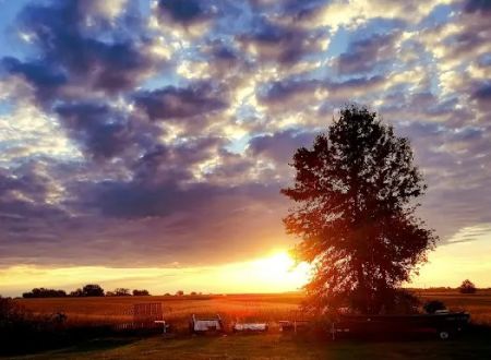 Catfish Place Campgrounds