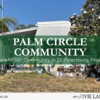 Palm Circle Community ico